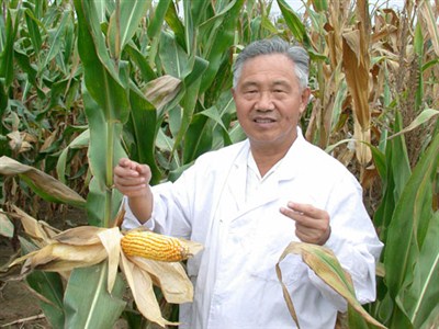 许启凤——玉米育种专家